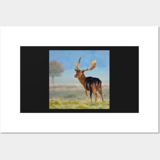 Dark Fallow Deer Posters and Art